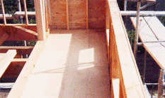 ���n����