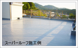 �X�[�p�[���[�t�@�{�H��